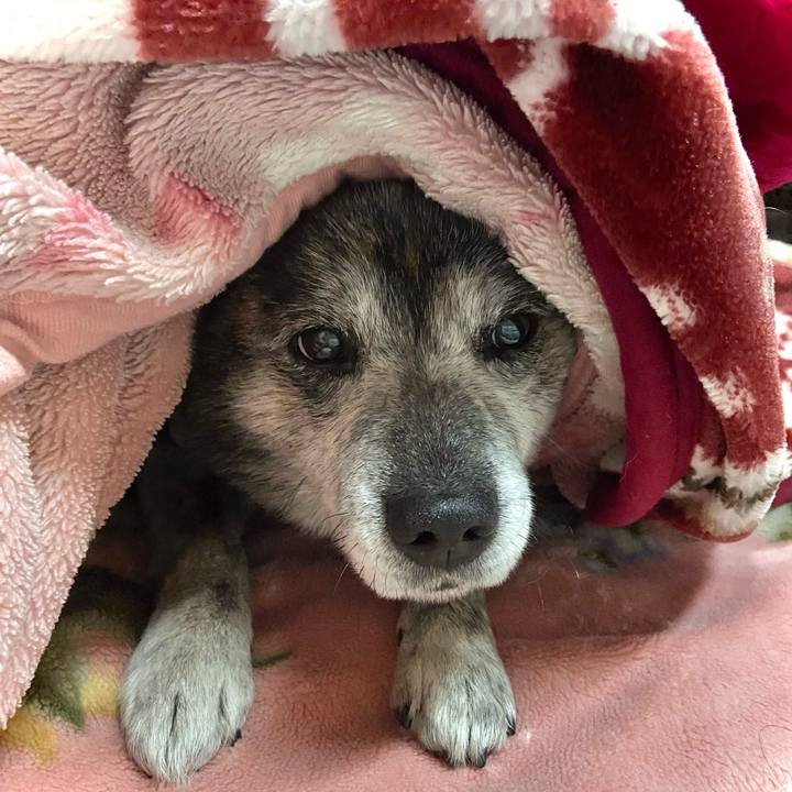 2ae62a04 d39e 4e04 84c8 3d1da438e915 1711977650598