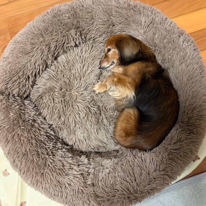 2ae67806 44ff 4a27 996c 62d79889209d 1774609602471