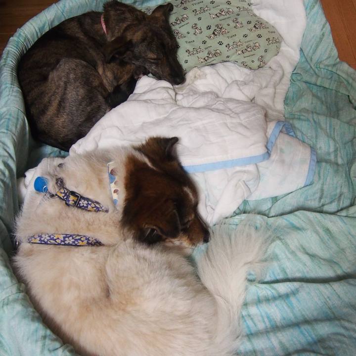 2ae67ebb 0811 47e6 bb14 d6a057f7e0a0 1546262644382