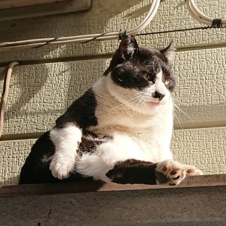 2ae6909f 49bf 47fe 820c 8365ede2cebc 1552966909094