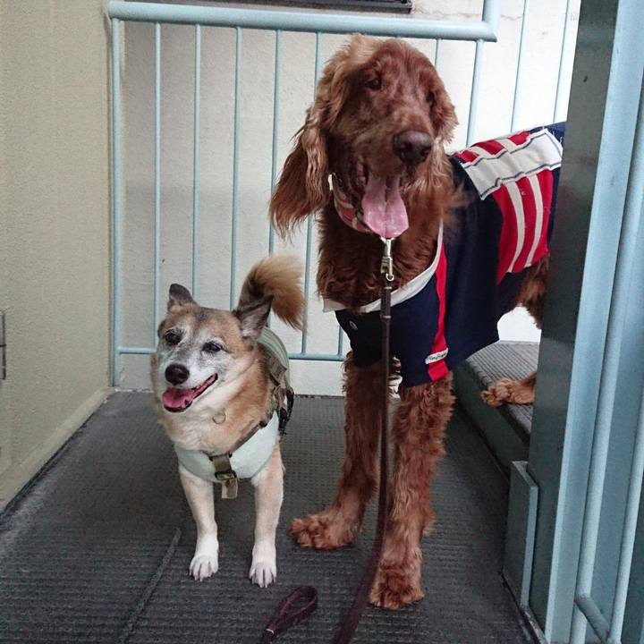 2ae6f1a7 2a1c 4c60 893c 48ad08bfc834 1583069471575