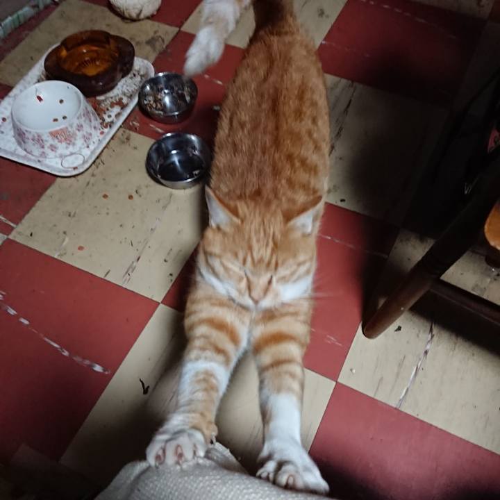 2ae6f467 89f5 4bbe 90d1 60f557605b21 1571601061183