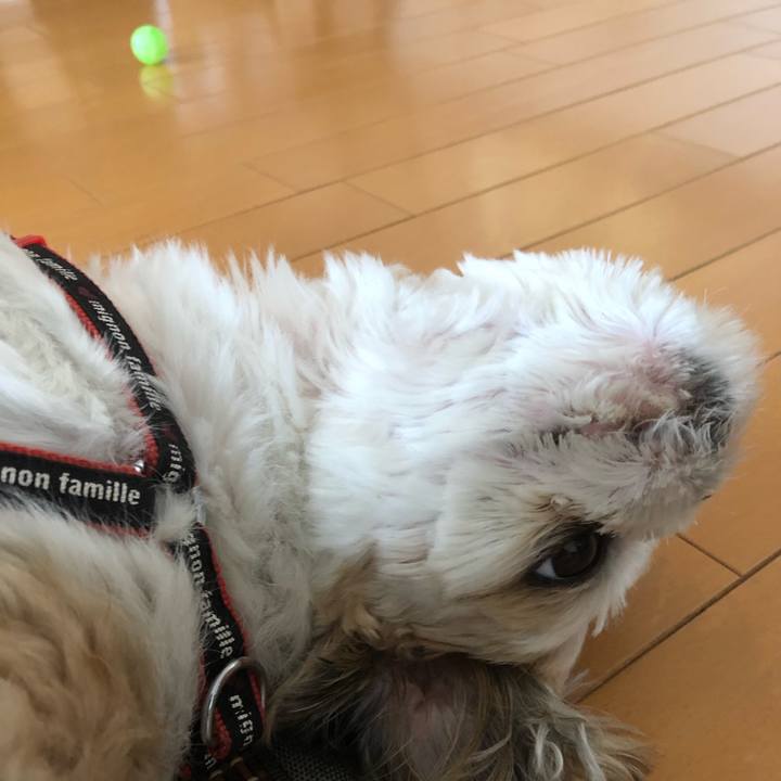 2ae73524 742c 40eb bbce 52a1048a6387 1569361750514