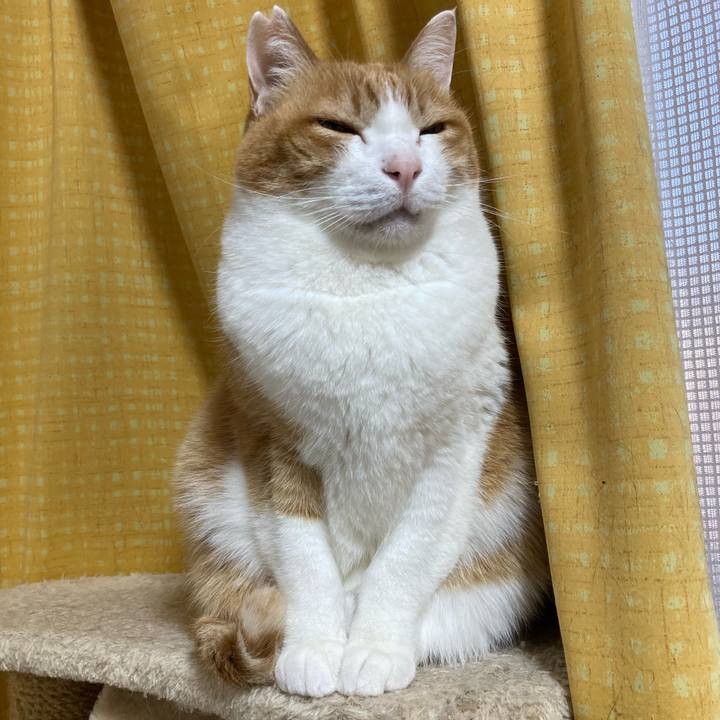 2ae73dc3 f1ed 40bb 9385 a1aed5c027c9 1774751123358