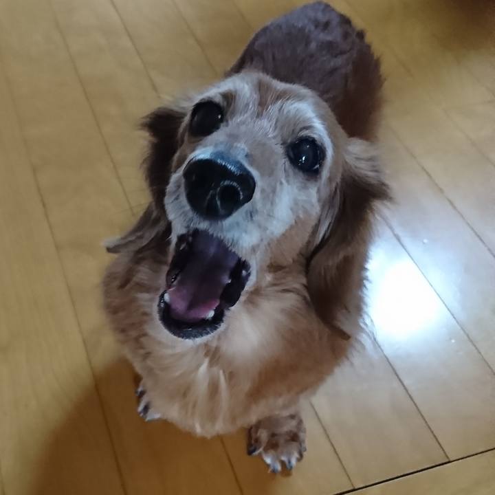 2ae74b37 4040 49c6 8f2e 79ec7030925a 1585157961647