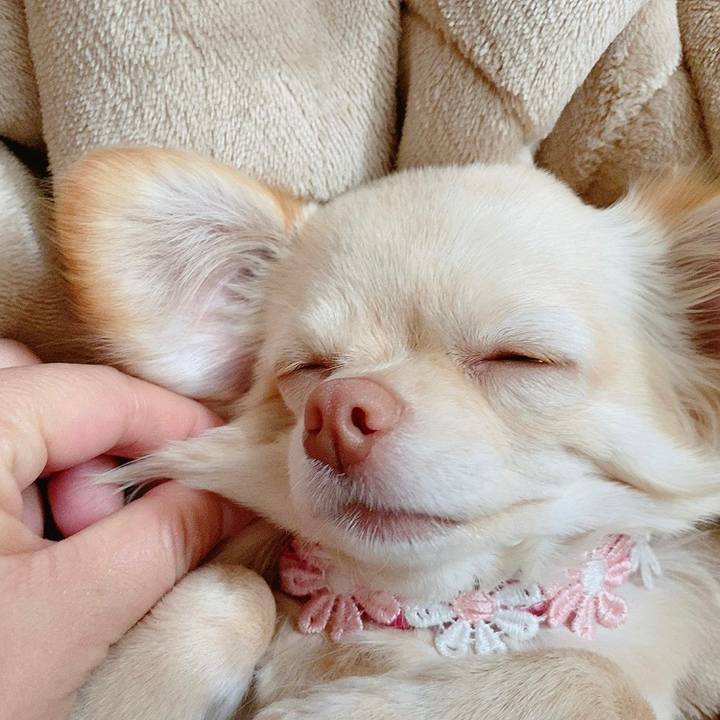 2ae79153 007f 4abb b4c1 d890e4d44ba0 1614313855223