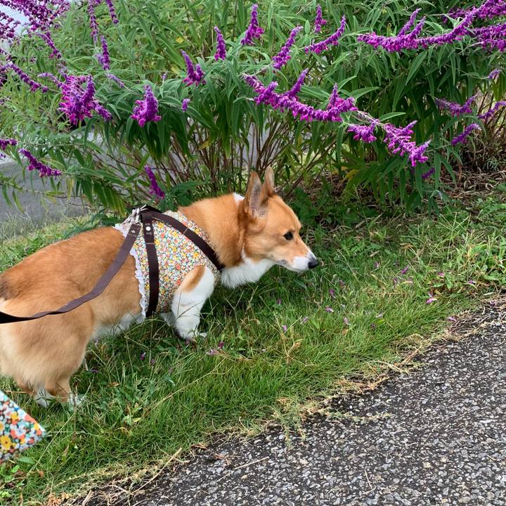 2ae8229f 764e 4b5c 926c 869ae5b66aa1 1633569182173