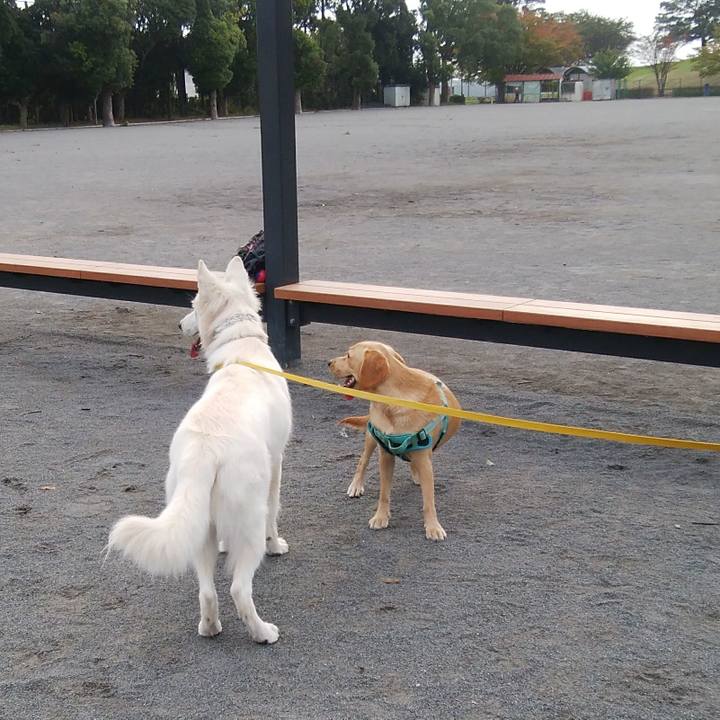 2ae83054 deda 4a57 bad4 ae18384df7ac 1508808000941