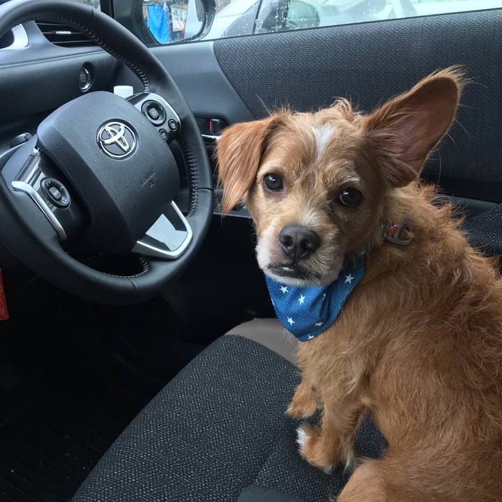 2ae8817a 938b 496b 9594 bcdc9bea6d18 1594099076219