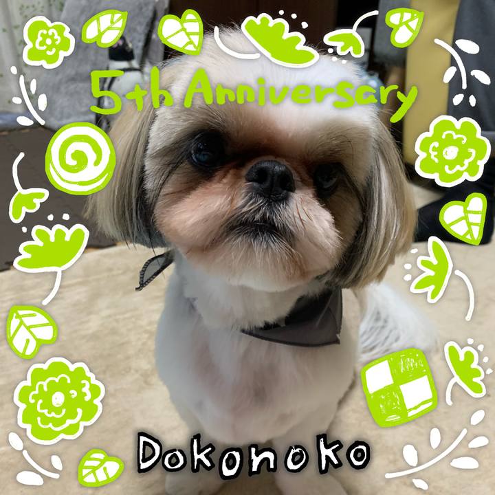 2ae88efc 1591 4b76 9a7f 900a2d84683b 1622886751775