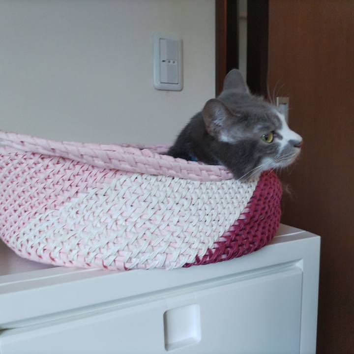 2ae8edd4 079f 4837 a98e f8d1310be152 1687987798212