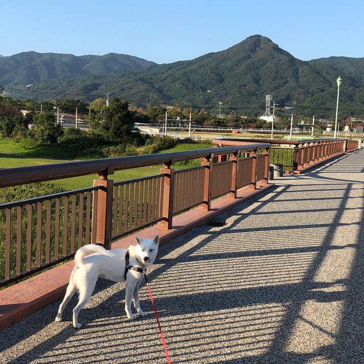 2ae8f1b3 0563 4648 b102 406acd854ee2 1540769594504