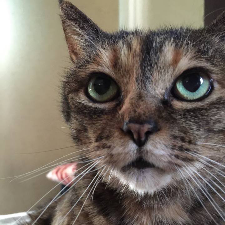 2ae8f32f c60e 4149 95cc a0ab0a8e5e49 1527290652433