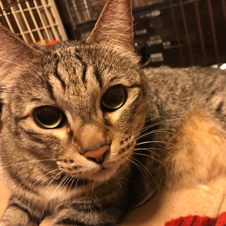 2ae90a04 144e 4bbd b732 dcf988526205 1548326286605