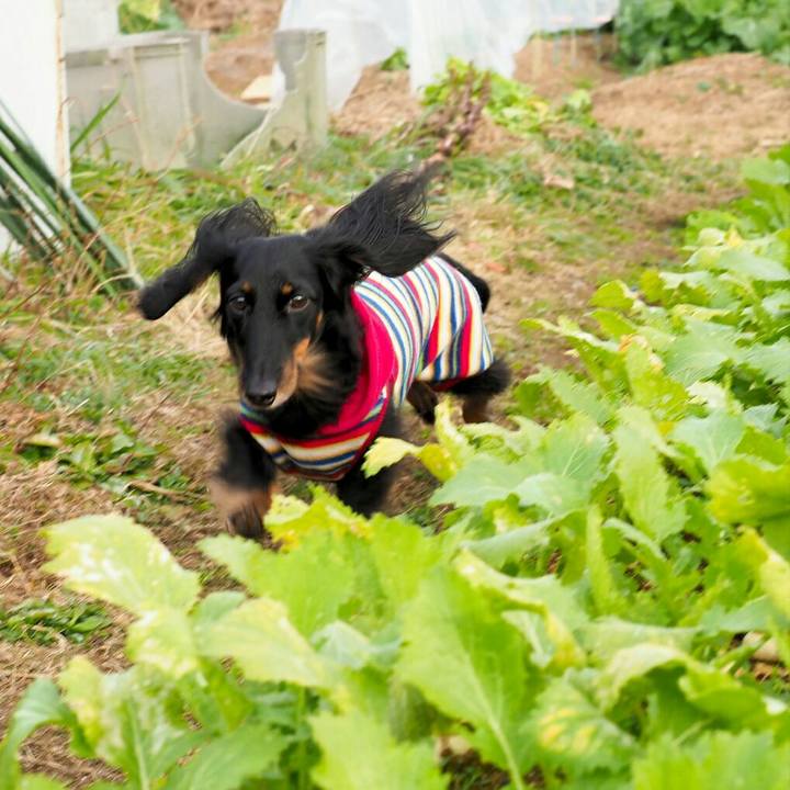 2ae91612 803b 4d8c 8f4c 0119a69e3b8e 1578294368301