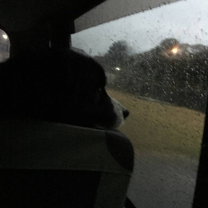 2ae947ba 280e 4819 ab9c bc6b62ebdf23 1547245304943