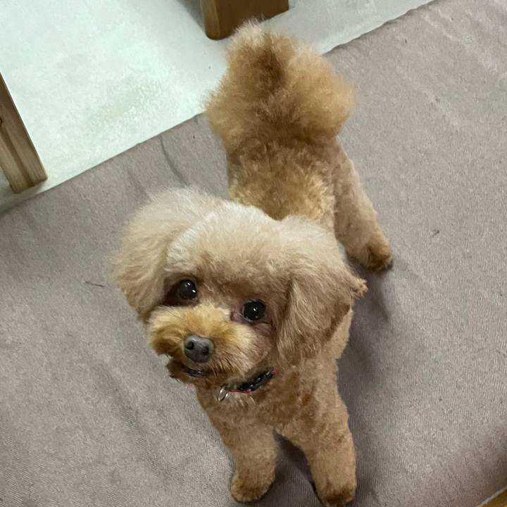 2ae96628 0dcd 4769 be07 a23e4ae8f555 1662266443707