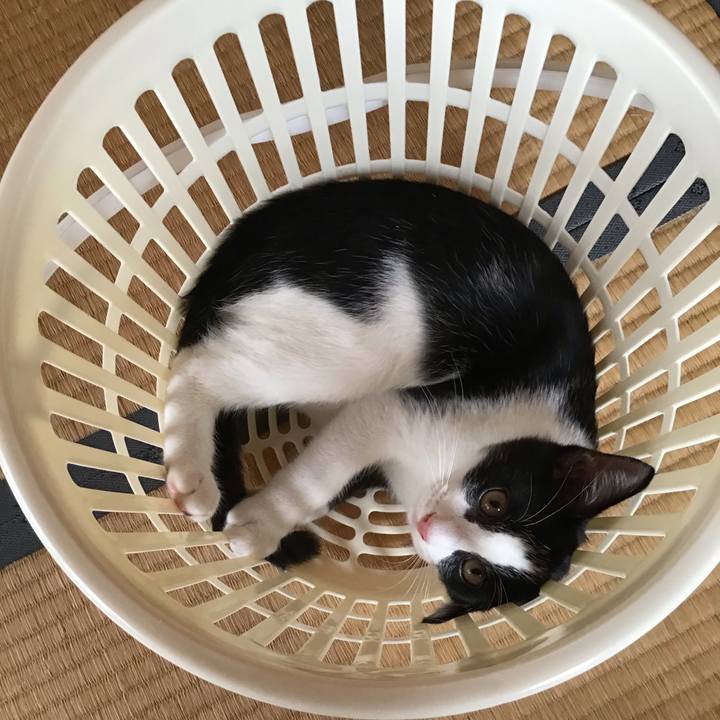 2ae96b4a 9a97 4bbd b105 260141b166bf 1627533652682