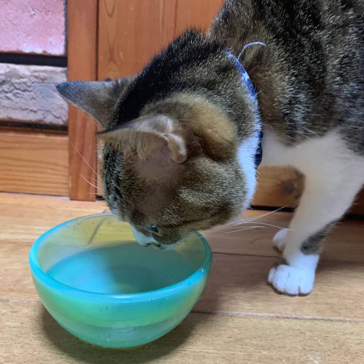 2ae9a21d cd22 4490 b734 a31ad6ccc5f8 1648977430970