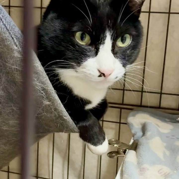 2ae9b3ed 4ed5 484f b562 bcf890e60479 1763546758435