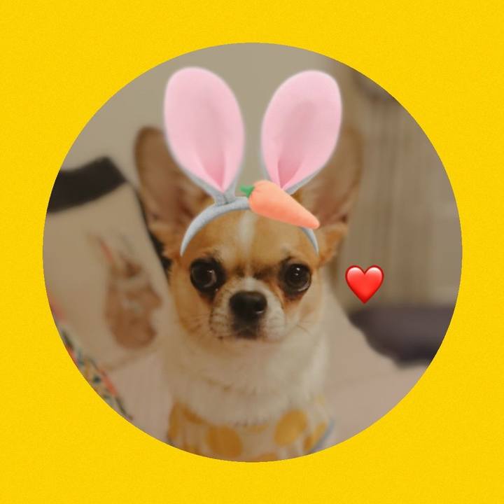 2ae9c7ae 2e95 434c 9798 5f2dbf8c7522 1568368636179