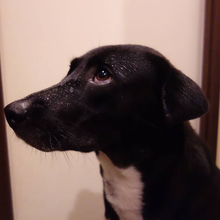 2aea2d9d 412d 4504 a4ae 383f98bb2087 1602241776653