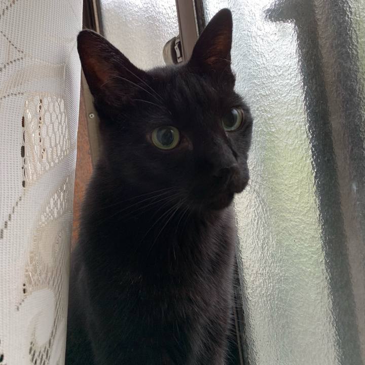 2aea6e12 54ee 4037 a0c3 4238a5aa16eb 1537750185334