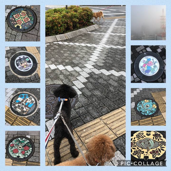 2aea9be6 e76e 47a2 968c d7c94b236e9e 1599713555621