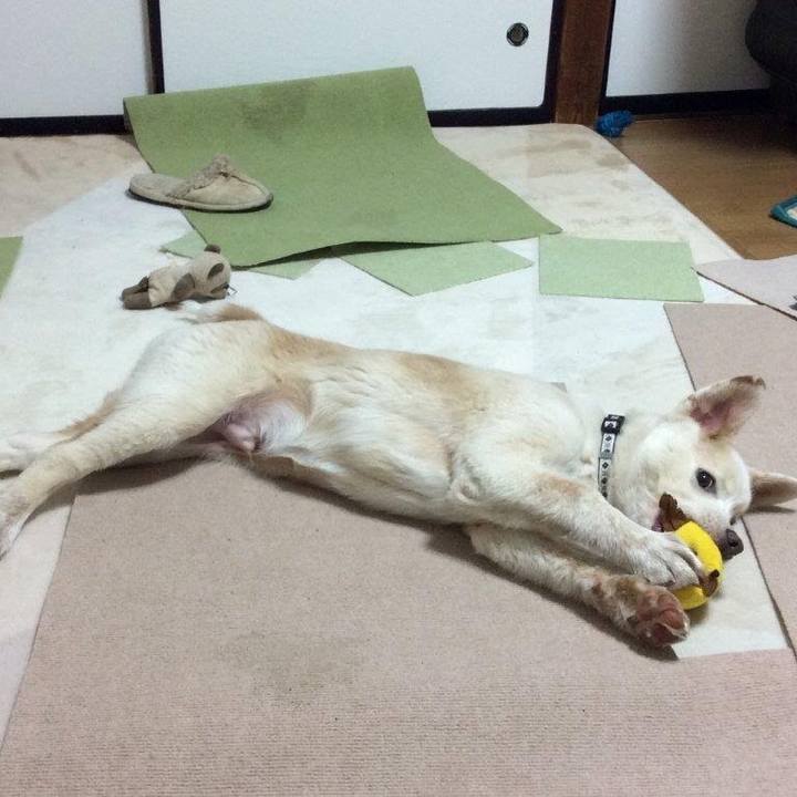 2aea9e7d cd2b 4ba8 97f7 f1decd787e60 1522294349269