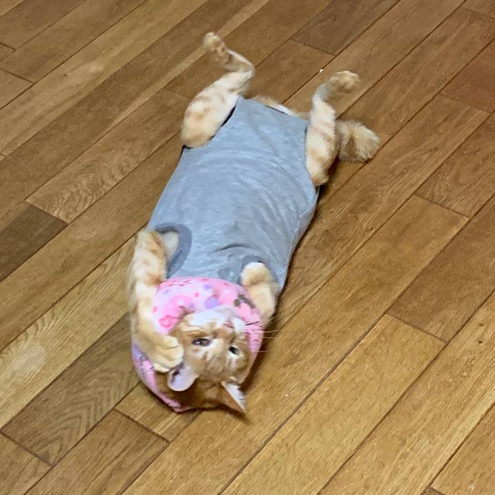 2aeaa904 c336 45c0 9729 a6639544e50c 1642938566211