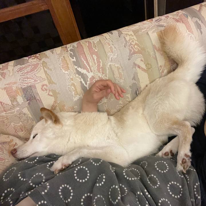 2aeaad50 73cd 40d0 ab36 299370d9bd11 1638808285345