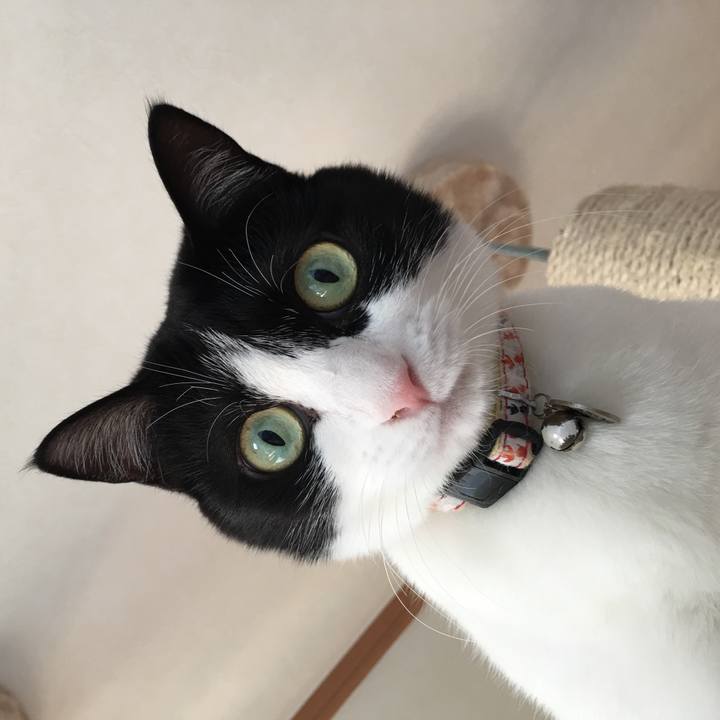 2aeb17ce 5e96 4812 b572 d2641899e776 1511743719003