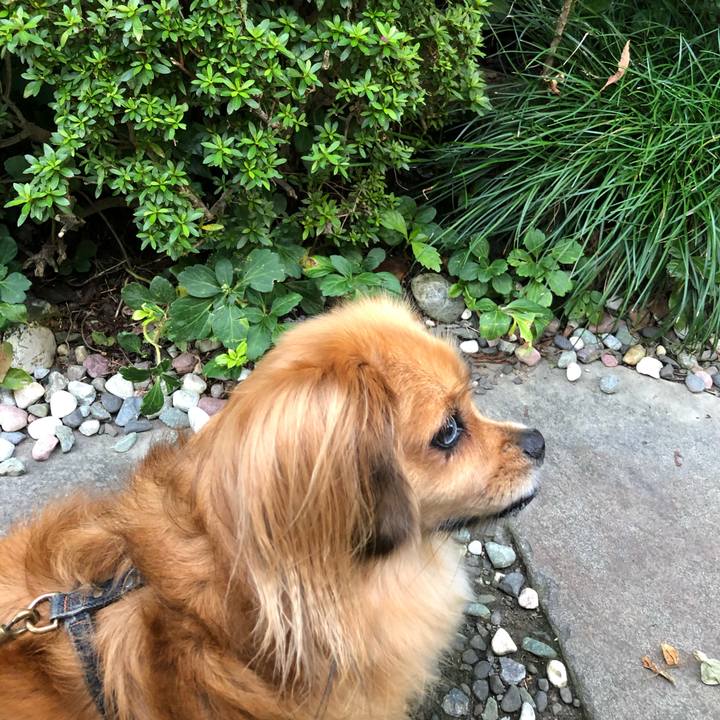 2aeb1caf 55fa 4773 b4a9 8cc68b23ced7 1567977917566