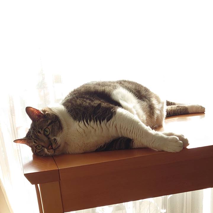 2aeb2533 fb08 46e9 9fb9 e464c823b61e 1636681499601