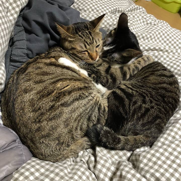 2aeb7dcc 5fc2 4247 a74d ae55ac9f77f2 1515243405243