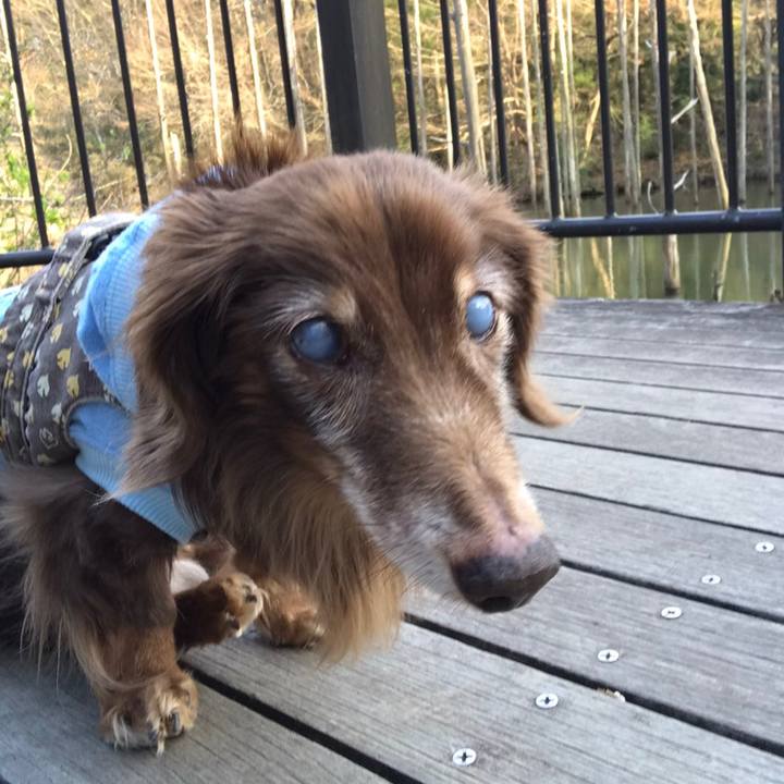 2aebb8a2 ca3c 460f 9c2c 21cd59e1d8d1 1584948261235