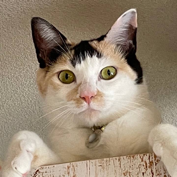 2aebe127 16a2 4668 9a43 5048df84949e 1682770838140