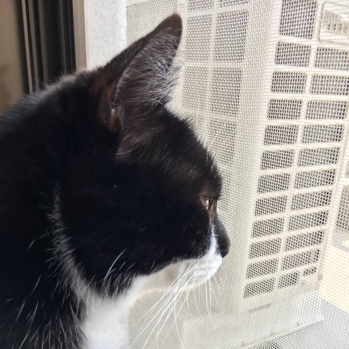 2aec06a4 4dbe 4275 844e 35912db9eb20 1555914176632