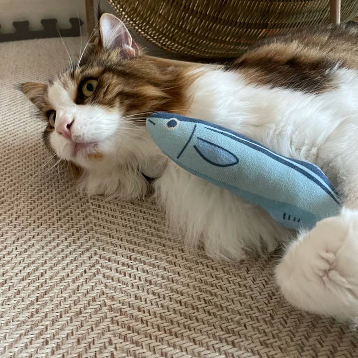 2aec06a9 44df 4d61 bb80 2dc69c6be713 1663538935764