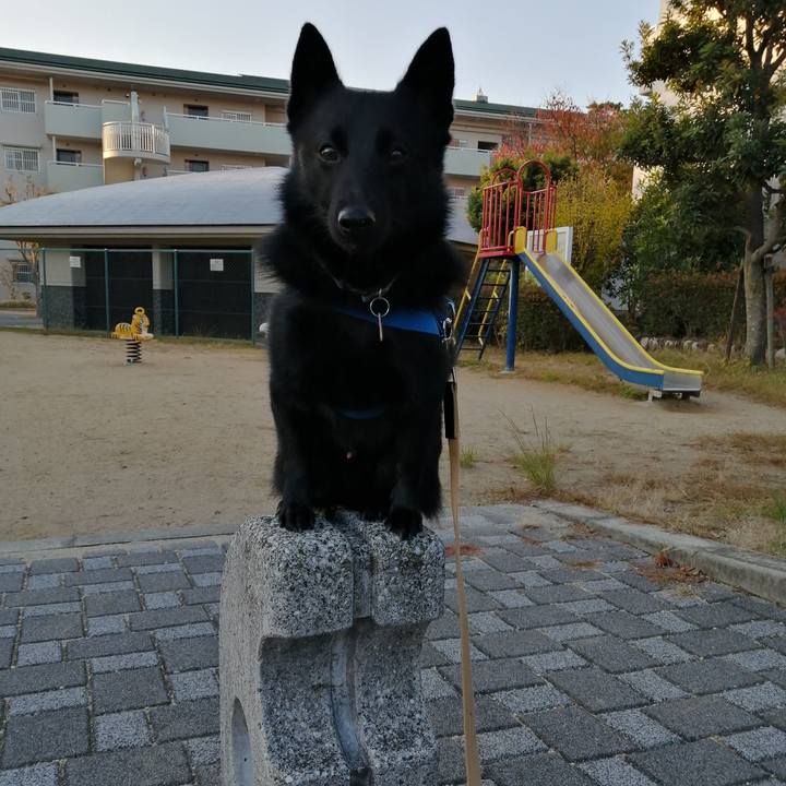 2aec37a3 8fc2 4a3d 99cf 6f398d057b64 1605045823213