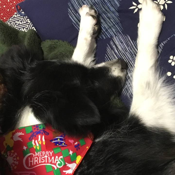 2aec669c 7aab 4b58 bbca bf45dadeef22 1514090953189