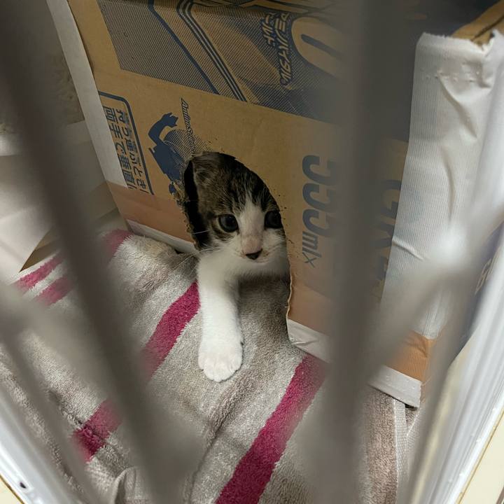 2aecf2a7 1e5e 4e86 84b1 0ff8fd196723 1765699259141