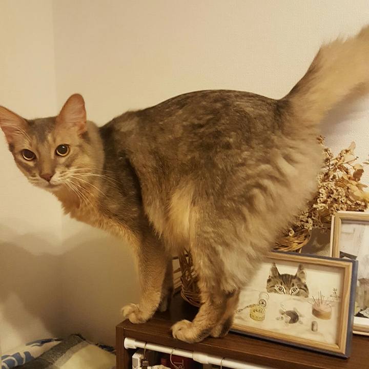 2aed00c2 a9b8 4c65 90d2 a7406e46e509 1566218445292