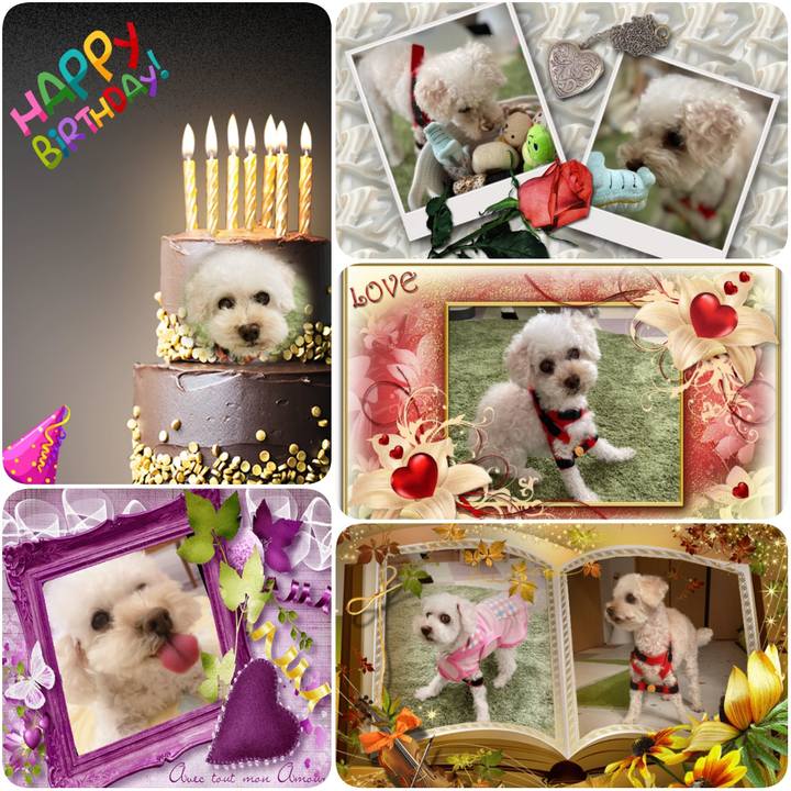 2aed2699 a388 4669 b865 19622e008c19 1634832889484