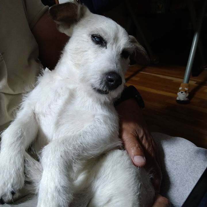 2aed6b96 b954 4bad a461 5309378d56f3 1732017177115