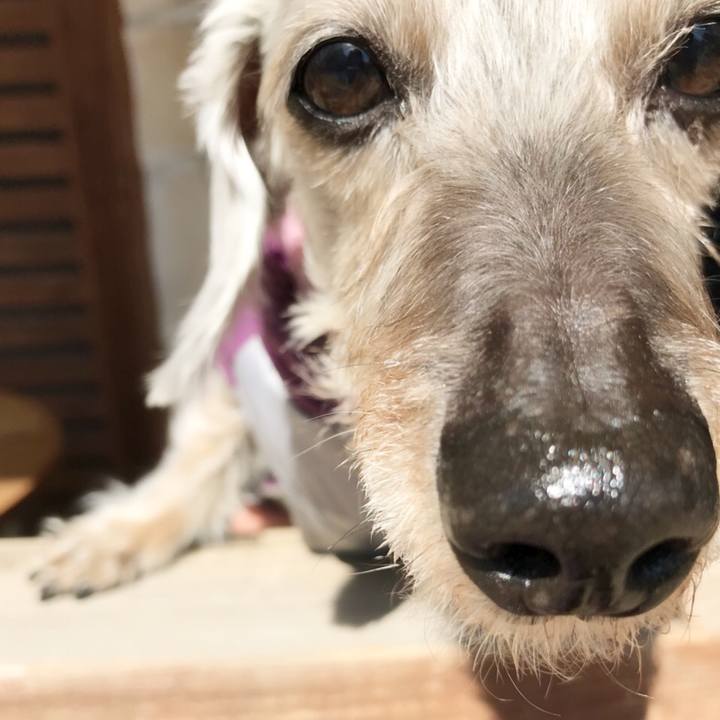 2aed9ac6 9fb7 4d0e a39b a9b93983a203 1521268997290