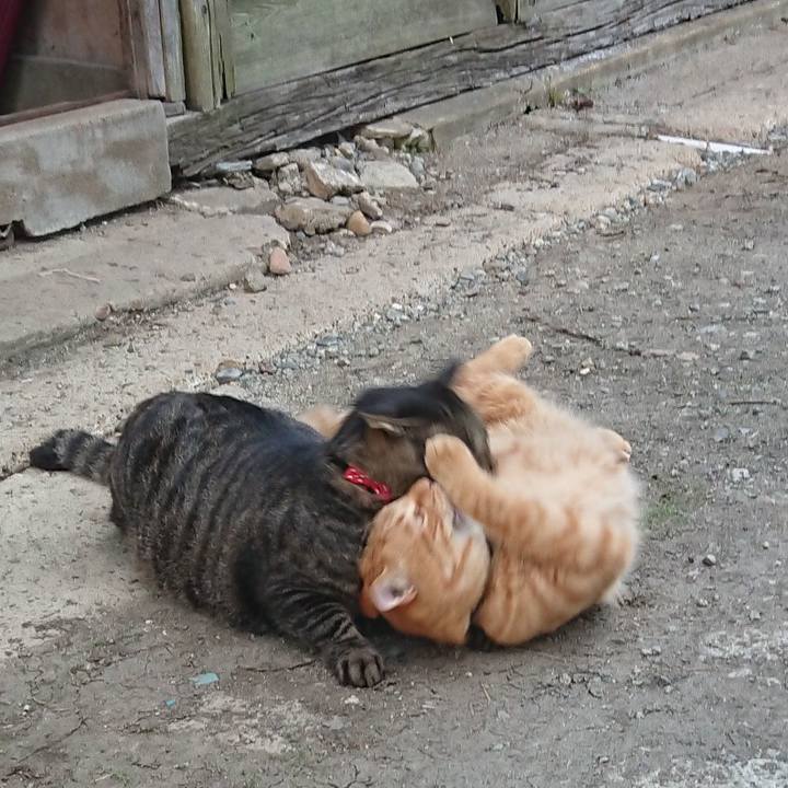 2aedd64d c7ec 4dd8 a18f 9dd5843e4788 1663057212082