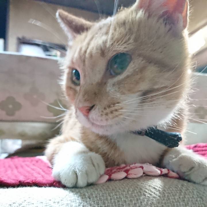 2aee0f65 0703 47aa b64c 5c1e3d4ba8aa 1566213858239