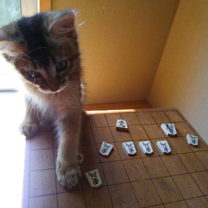 2aee32ab eeb4 4aa6 b92b 672c5efee1c6 1566782124289