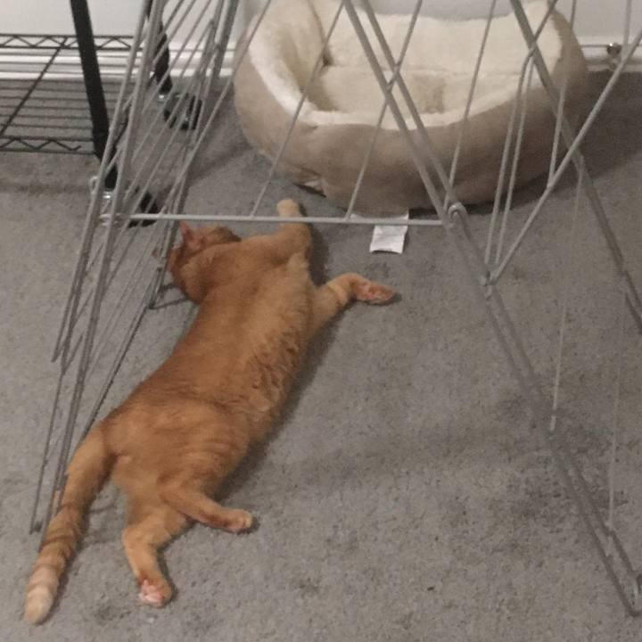 2aee988a cd6a 4624 a49c a1893cfb936e 1659057265864